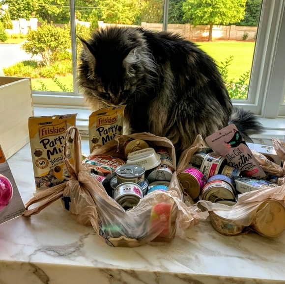 Hi! I'm Wolfie. What's your name? - Picture 11 of 17